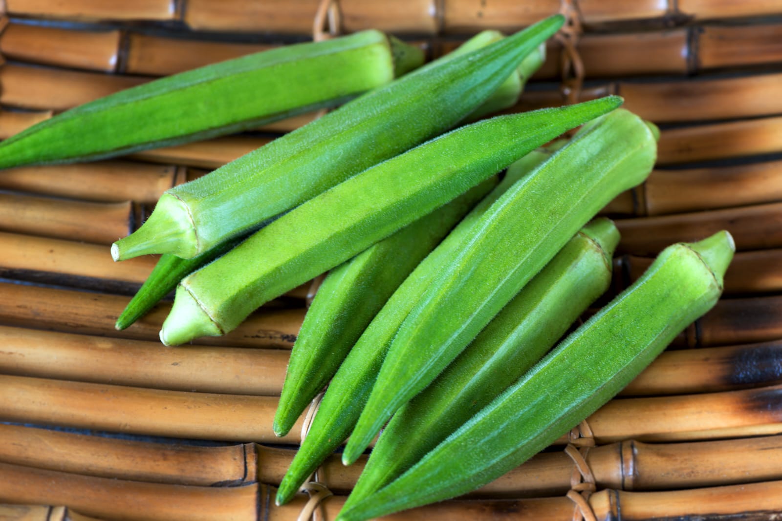 Bhindi Seeds